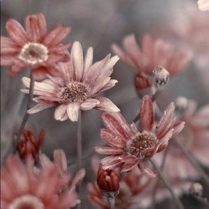 Meet your Posher, Yvonne